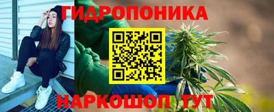 индика Новозыбков