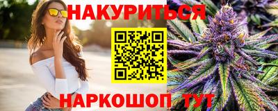 индика Новозыбков