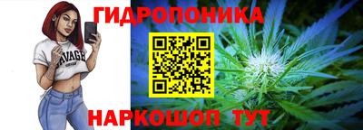 гашик Обь