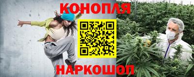 гашик Обь