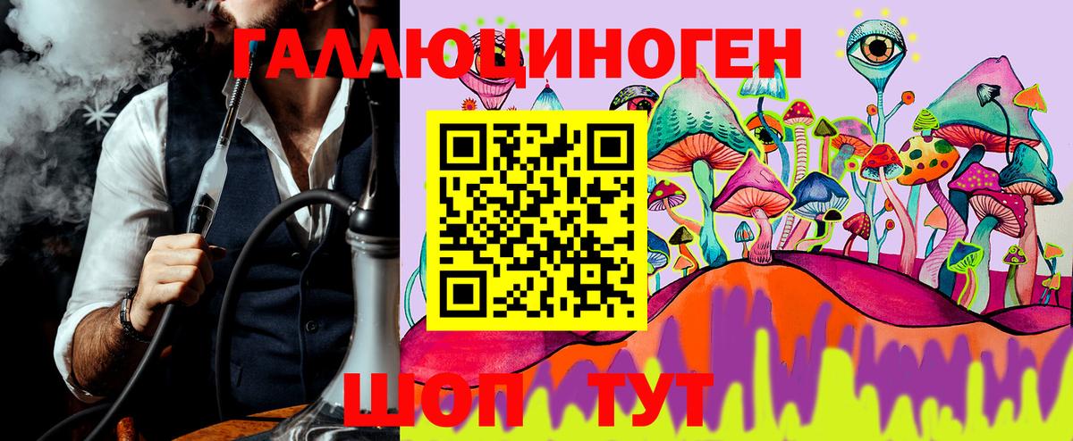 хочу наркоту  Галлюциногенные грибы Cubensis  Вход с VPN  Учалы 